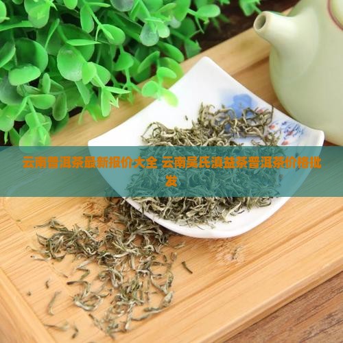 云南吴氏滇益茶普洱茶价格