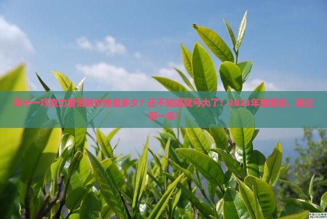 双十一巧克力普洱茶价格