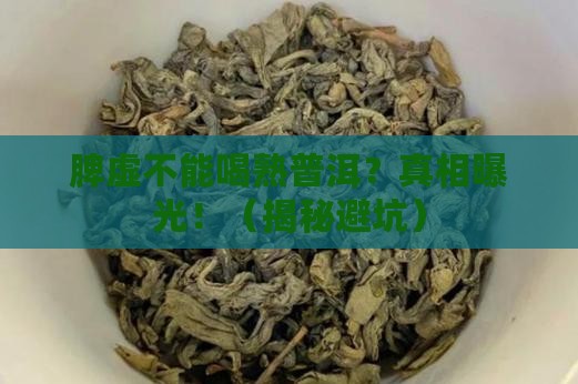 脾虚不可以喝熟普洱茶吗为什么