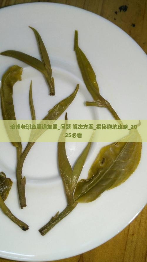 漳州老班章渠道加盟