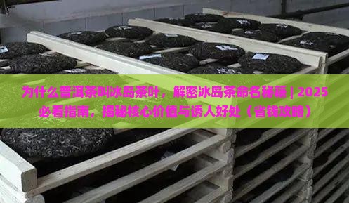 为什么普洱茶叫冰岛茶叶