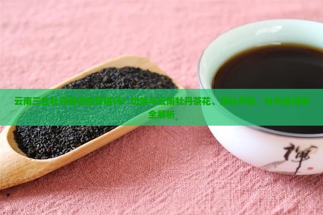 云南三色牡丹普洱茶