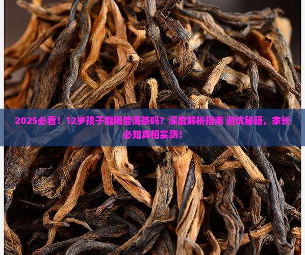12岁的孩子能喝普洱茶吗
