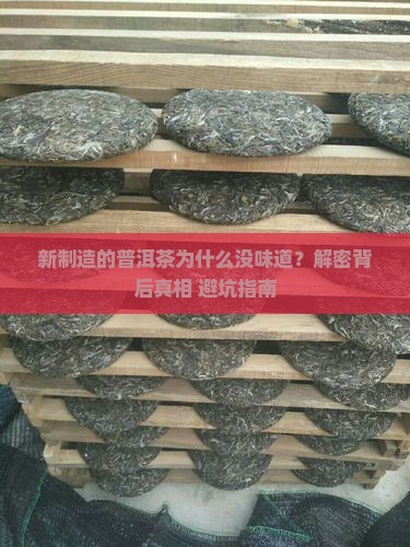 新制造的普洱茶没有味道