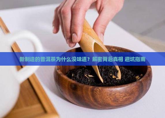 新制造的普洱茶没有味道