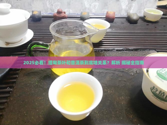 缅甸茶叶是普洱茶吗