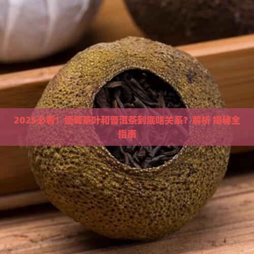 缅甸茶叶是普洱茶吗