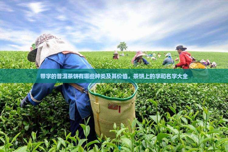 带字的普洱茶饼 带字的普洱茶饼