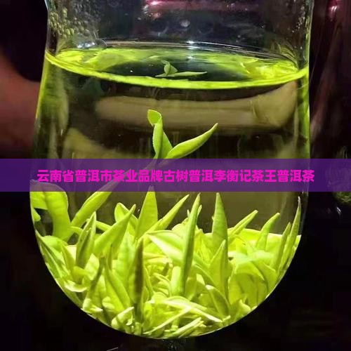 李衡记茶王普洱茶