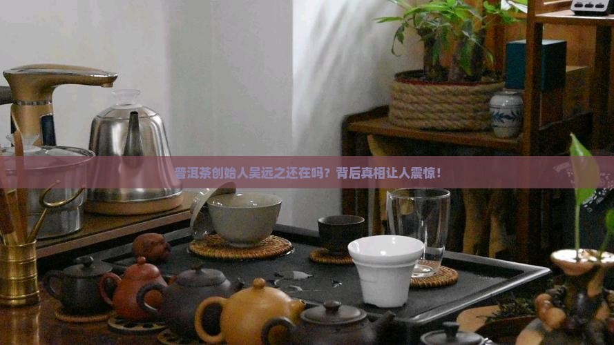 普洱茶创始人吴远之近况