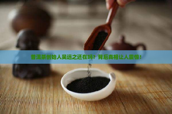 普洱茶创始人吴远之近况