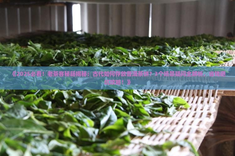 古代如何存放普洱茶饼里