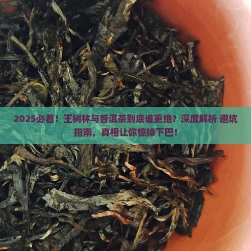 王树林与普洱茶哪个好