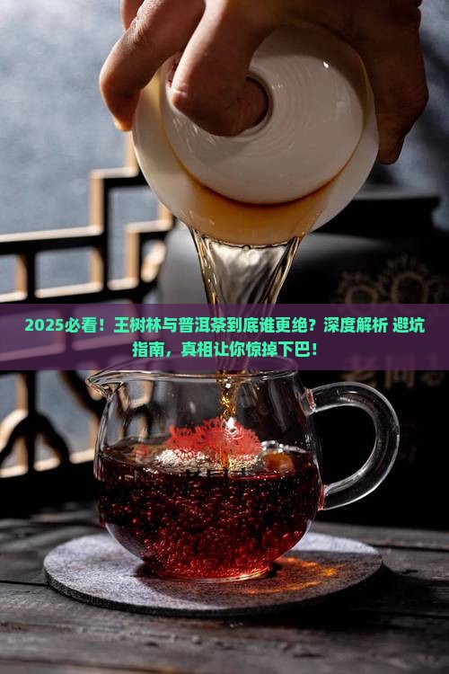 王树林与普洱茶哪个好