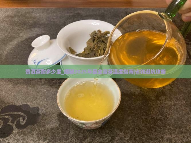 普洱茶耐多少度