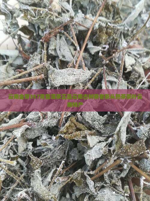 云南金芽357克普洱茶