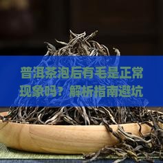 普洱茶泡后有毛