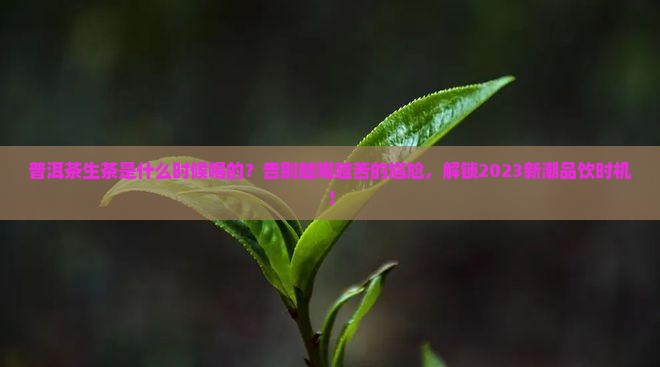 普洱茶生茶是什么时候喝的