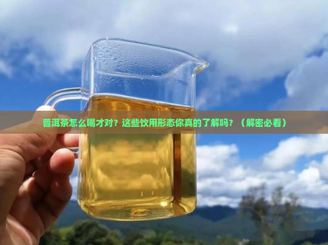 普洱茶的饮用形态特点有哪些