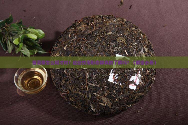 普洱茶的饮用形态特点有哪些