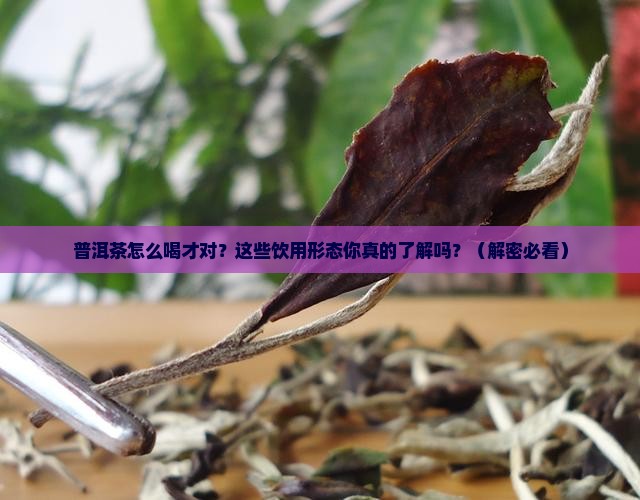 普洱茶的饮用形态特点有哪些