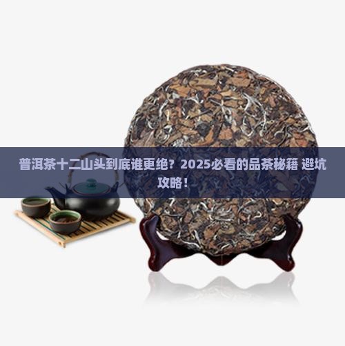 普洱茶十二山头