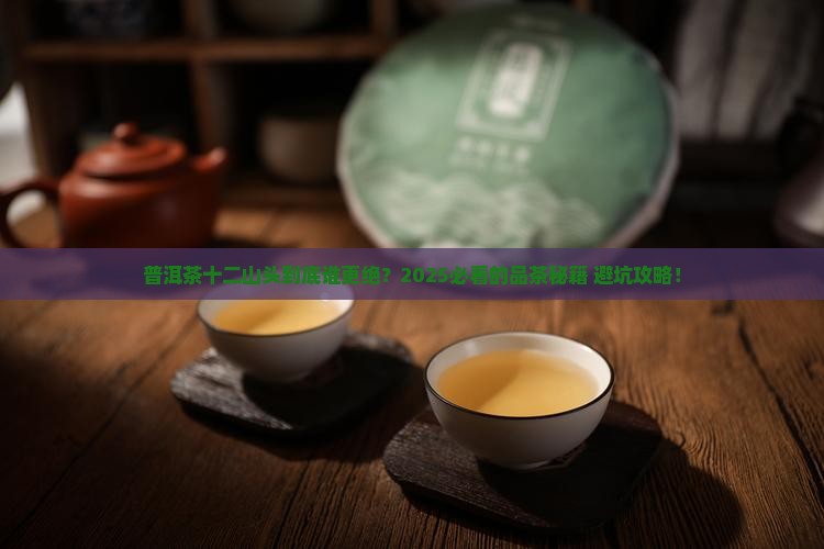 普洱茶十二山头