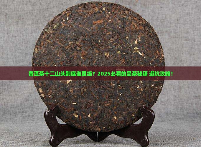 普洱茶十二山头