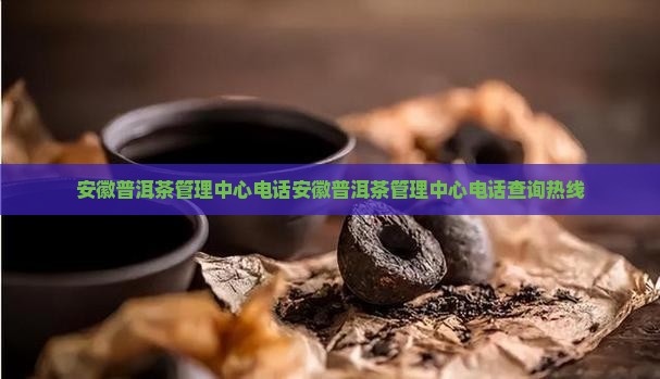 安徽普洱茶管理中心电话