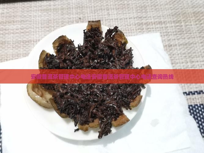安徽普洱茶管理中心电话