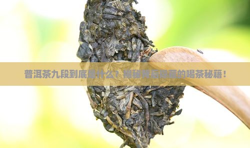 普洱茶九段是什么意思