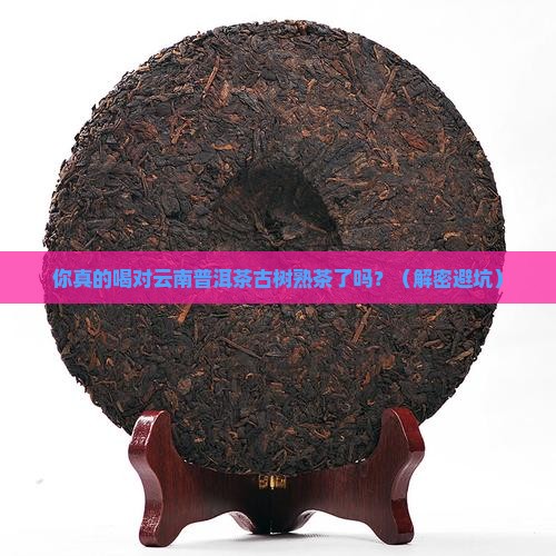 云南普洱茶古树熟茶