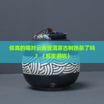 云南普洱茶古树熟茶