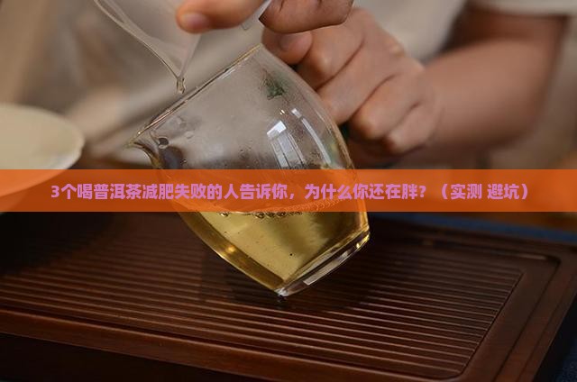 普洱茶叶减肥茶