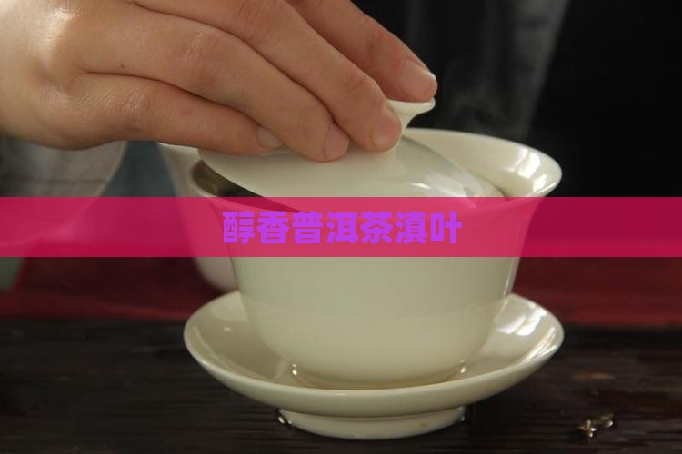 醇香普洱茶滇叶