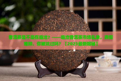 普洱茶是不是在临沧