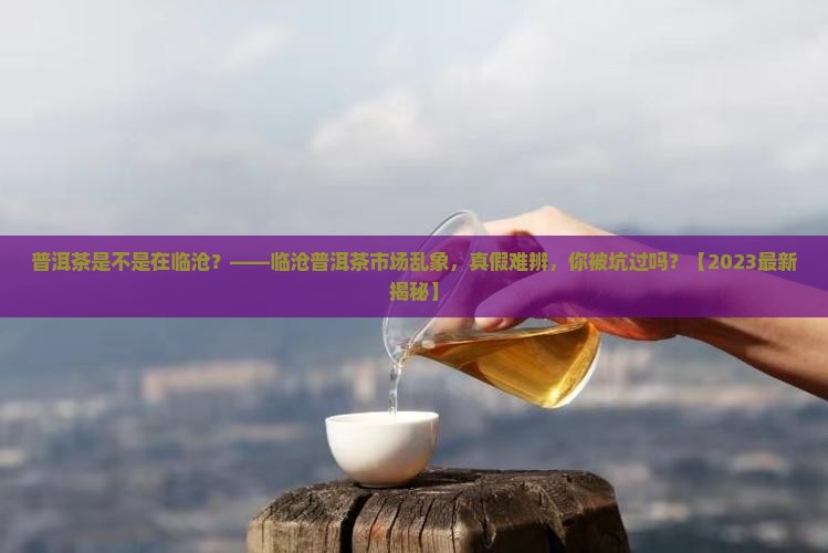 普洱茶是不是在临沧