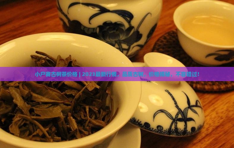 小户赛古树茶价格