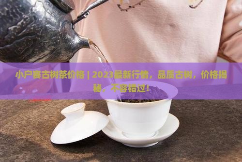 小户赛古树茶价格