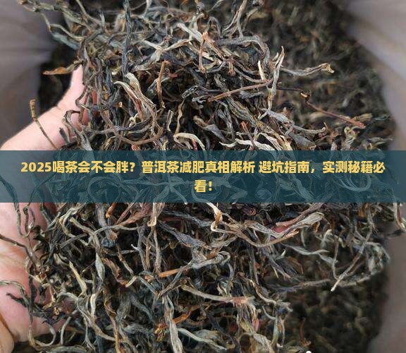 喝茶会不会胖普洱