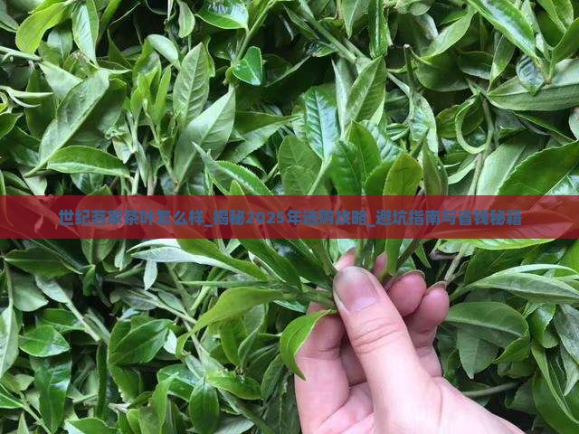 世纪茗家茶叶怎么样