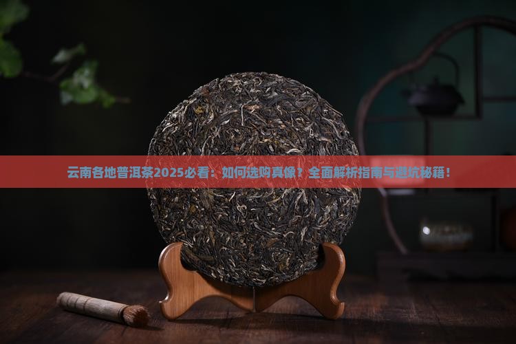 云南各地普洱茶