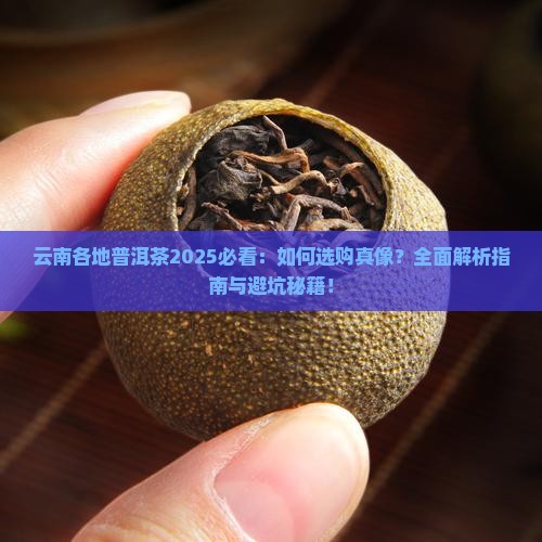 云南各地普洱茶