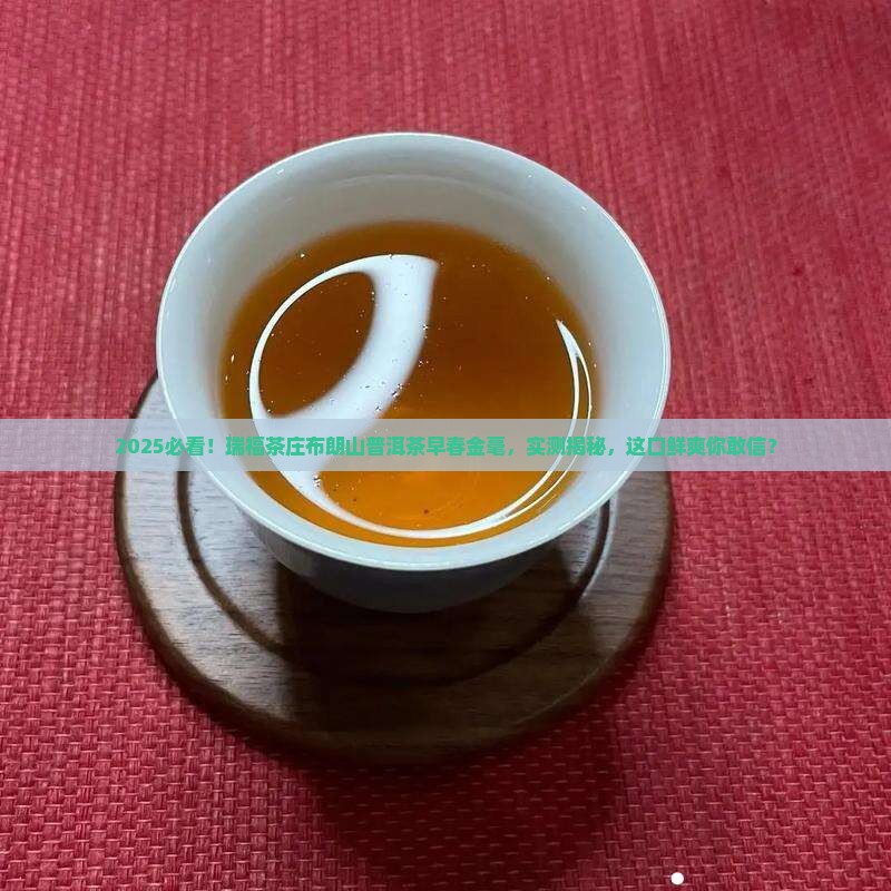 瑞福茶庄布朗山普洱茶早春金毫