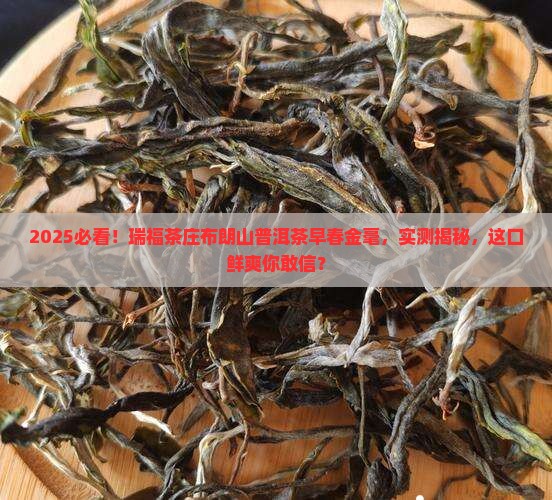 瑞福茶庄布朗山普洱茶早春金毫
