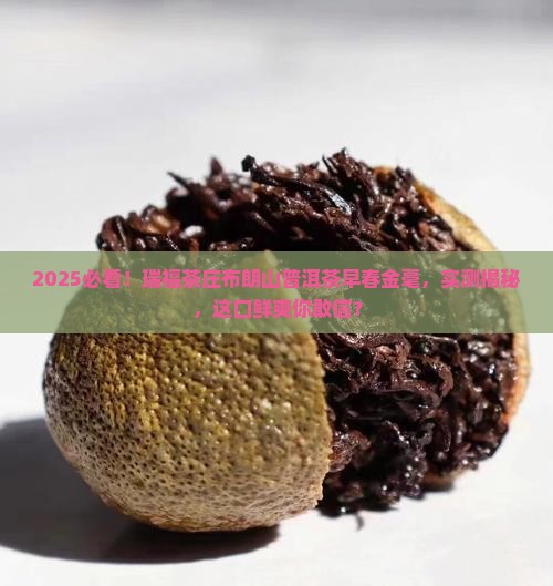 瑞福茶庄布朗山普洱茶早春金毫