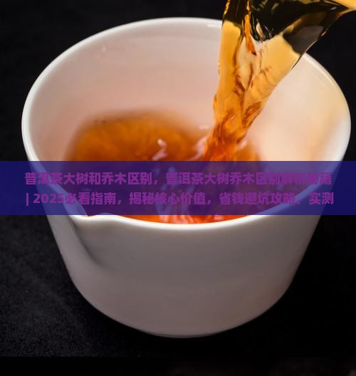 普洱茶大树和乔木区别