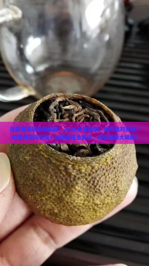 昆明普洱茶品牌加盟 昆明普洱茶品牌加盟