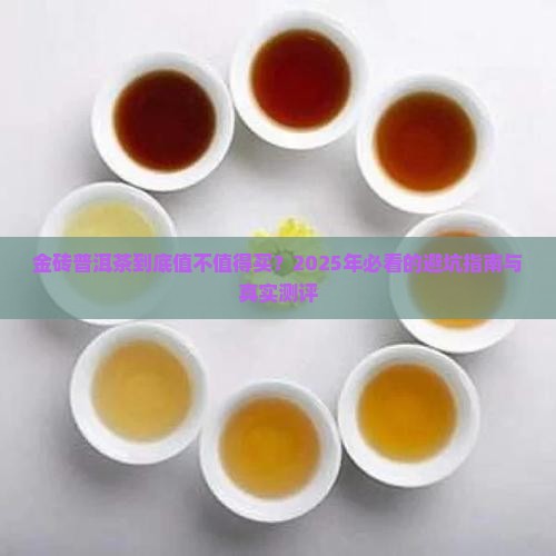 想了解一下金砖普洱茶