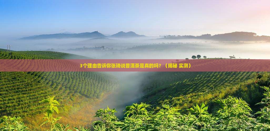 张琦说普洱茶是真的吗